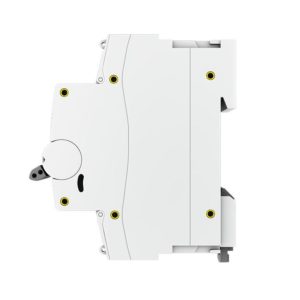 mcb47100-1-25D-pro